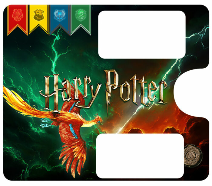 Piastra Porta Integrale Harry Potter