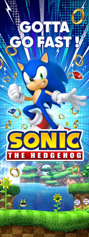 Sonic Banner