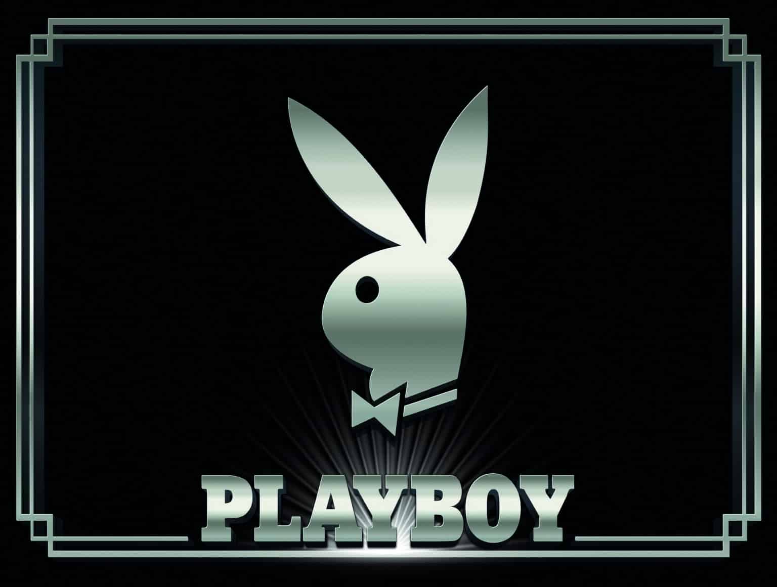 Translite Playboy - Custom Pinball